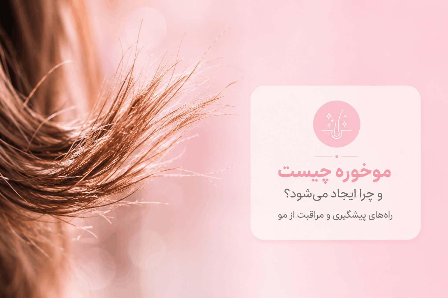 موخوره چیست و چرا ایجاد می‌شود؟ راه‌های پیشگیری و مراقبت از مو